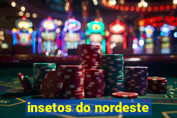 insetos do nordeste